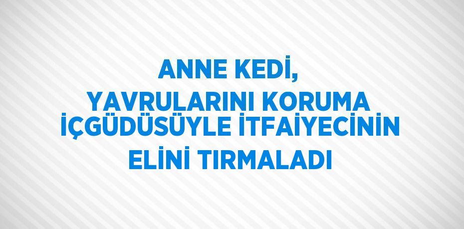 ANNE KEDİ, YAVRULARINI KORUMA İÇGÜDÜSÜYLE İTFAİYECİNİN ELİNİ TIRMALADI