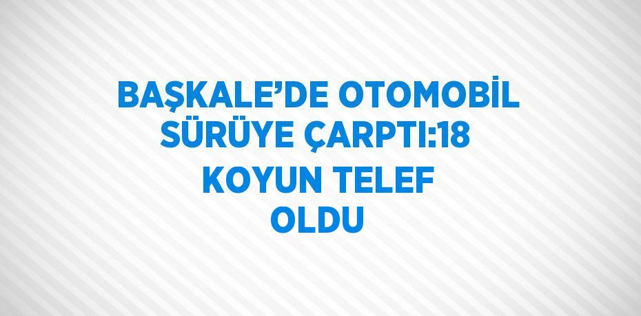 BAŞKALE’DE OTOMOBİL SÜRÜYE ÇARPTI:18 KOYUN TELEF OLDU