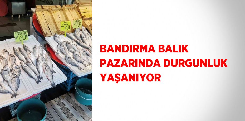 BANDIRMA BALIK PAZARINDA DURGUNLUK YAŞANIYOR