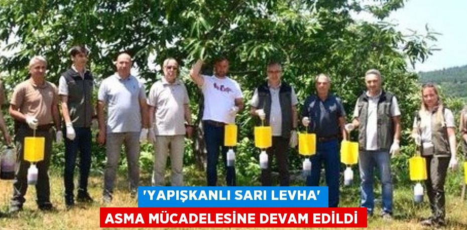 “YAPIŞKANLI SARI LEVHA” ASMA MÜCADELESİNE DEVAM EDİLDİ