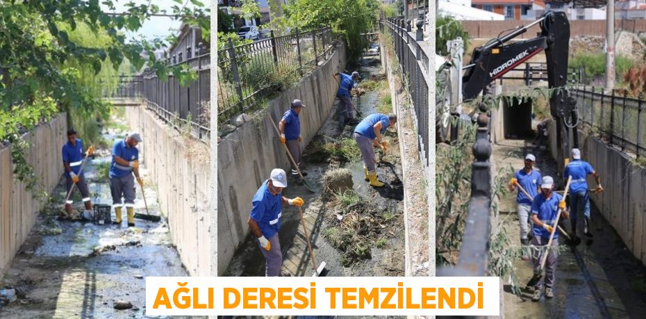 AĞLI DERESİ TEMZİLENDİ