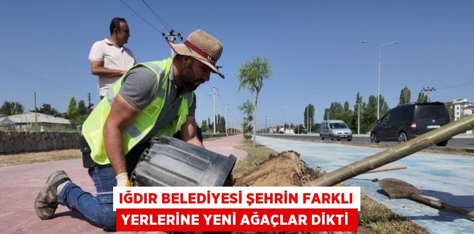 IĞDIR BELEDİYESİ ŞEHRİN FARKLI YERLERİNE YENİ AĞAÇLAR DİKTİ