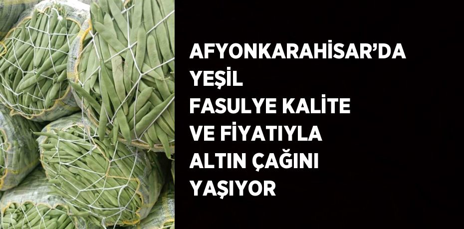 AFYONKARAHİSAR’DA YEŞİL FASULYE KALİTE VE FİYATIYLA ALTIN ÇAĞINI YAŞIYOR