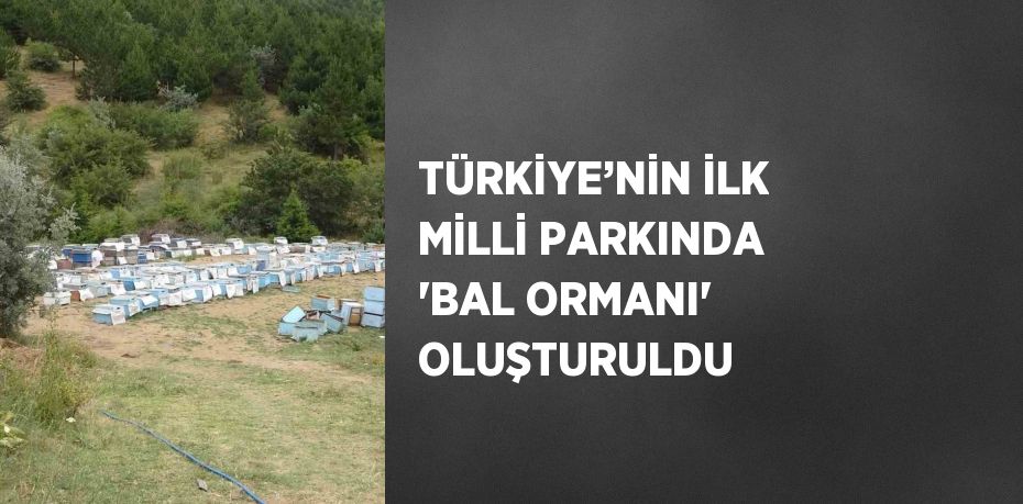 TÜRKİYE’NİN İLK MİLLİ PARKINDA 'BAL ORMANI' OLUŞTURULDU