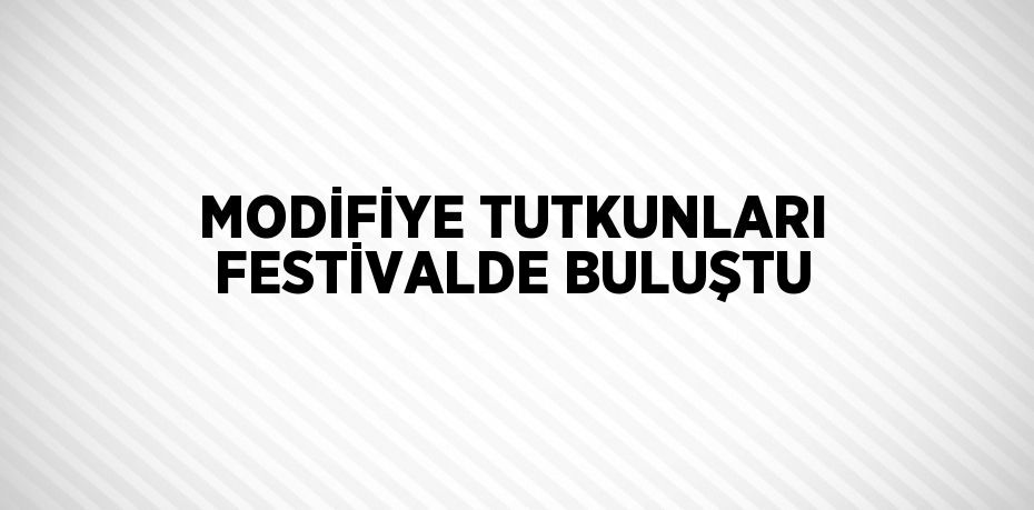 MODİFİYE TUTKUNLARI FESTİVALDE BULUŞTU