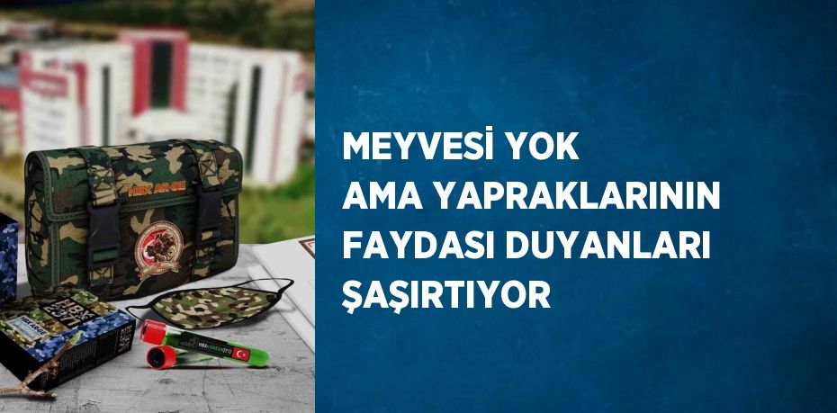 MEYVESİ YOK AMA YAPRAKLARININ FAYDASI DUYANLARI ŞAŞIRTIYOR