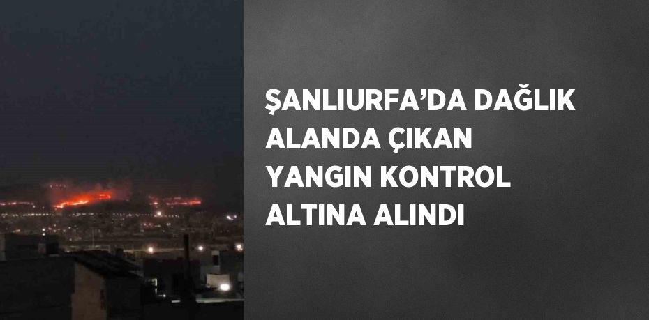 ŞANLIURFA’DA DAĞLIK ALANDA ÇIKAN YANGIN KONTROL ALTINA ALINDI