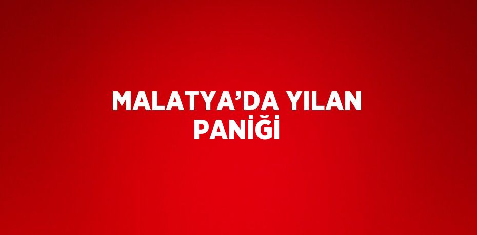 MALATYA’DA YILAN PANİĞİ