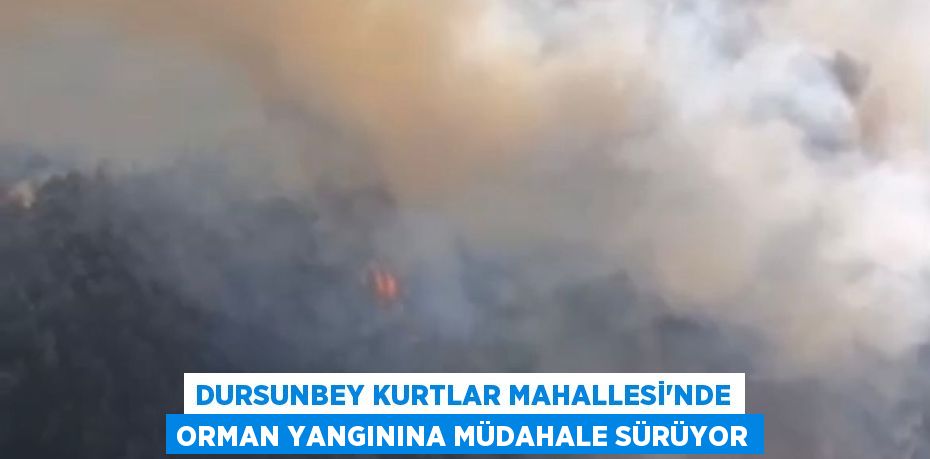 Dursunbey Kurtlar Mahallesi’nde Orman Yangınına Müdahale Sürüyor