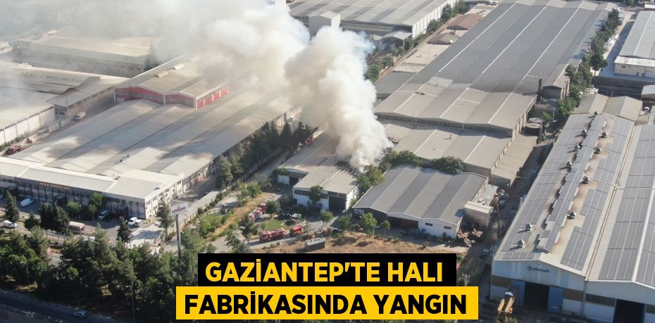 Gaziantep’te halı fabrikasında yangın
