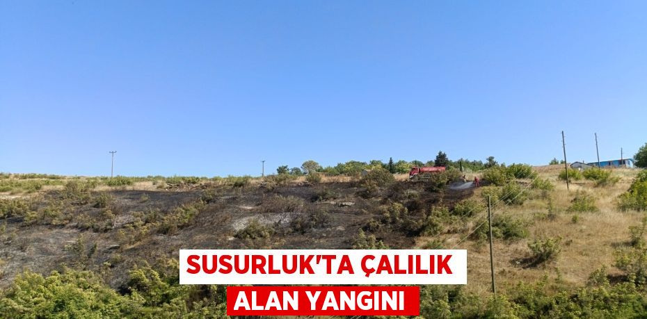Susurluk’ta çalılık alan yangını