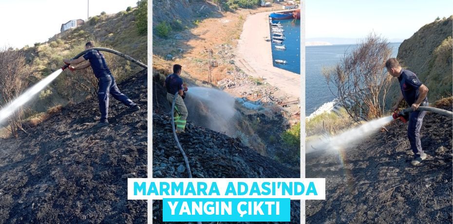 Marmara Adası’nda yangın çıktı