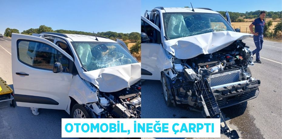 OTOMOBİL, İNEĞE ÇARPTI