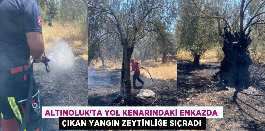 ALTINOLUK’TA YOL KENARINDAKİ ENKAZDA ÇIKAN YANGIN ZEYTİNLİĞE SIÇRADI