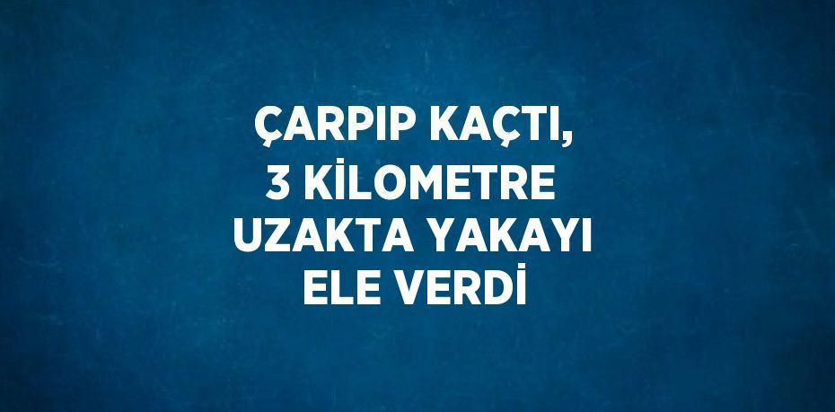 ÇARPIP KAÇTI, 3 KİLOMETRE UZAKTA YAKAYI ELE VERDİ