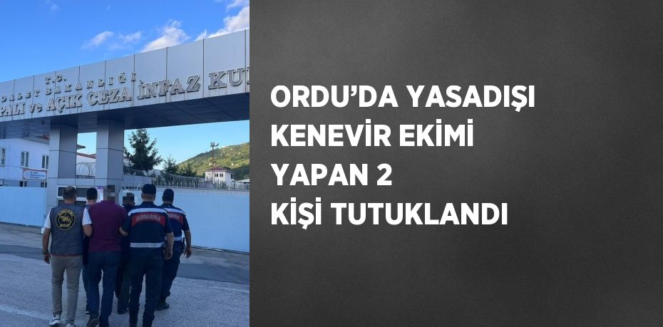 ORDU’DA YASADIŞI KENEVİR EKİMİ YAPAN 2 KİŞİ TUTUKLANDI