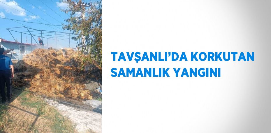 TAVŞANLI’DA KORKUTAN SAMANLIK YANGINI