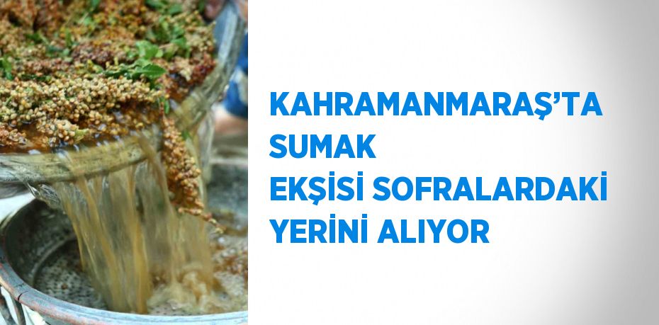 KAHRAMANMARAŞ’TA SUMAK EKŞİSİ SOFRALARDAKİ YERİNİ ALIYOR