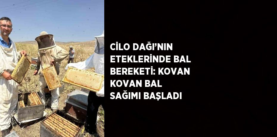 CİLO DAĞI’NIN ETEKLERİNDE BAL BEREKETİ: KOVAN KOVAN BAL SAĞIMI BAŞLADI