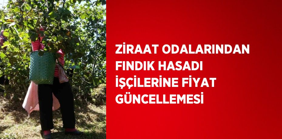 ZİRAAT ODALARINDAN FINDIK HASADI İŞÇİLERİNE FİYAT GÜNCELLEMESİ