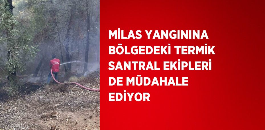 MİLAS YANGININA BÖLGEDEKİ TERMİK SANTRAL EKİPLERİ DE MÜDAHALE EDİYOR