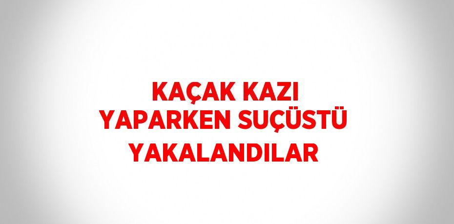 KAÇAK KAZI YAPARKEN SUÇÜSTÜ YAKALANDILAR