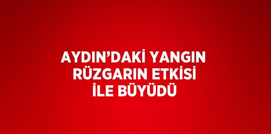 AYDIN’DAKİ YANGIN RÜZGARIN ETKİSİ İLE BÜYÜDÜ