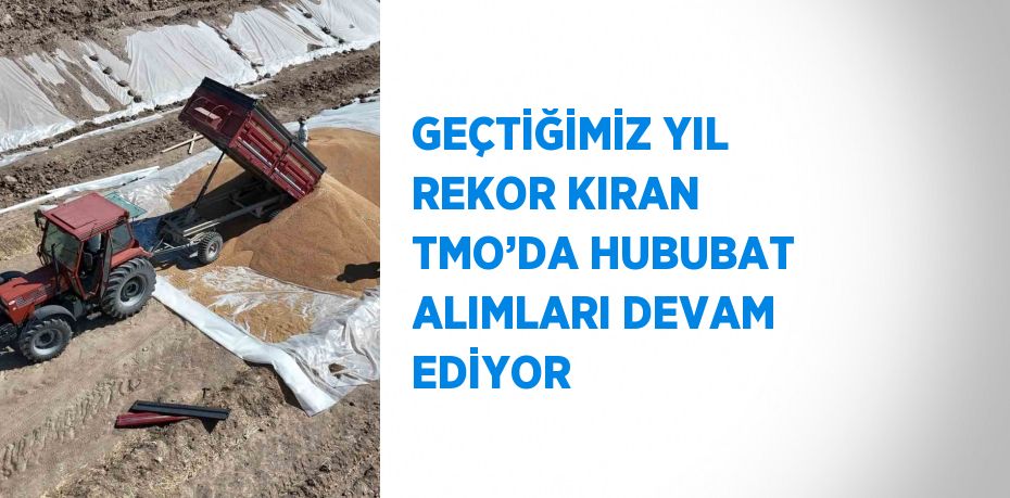 GEÇTİĞİMİZ YIL REKOR KIRAN TMO’DA HUBUBAT ALIMLARI DEVAM EDİYOR