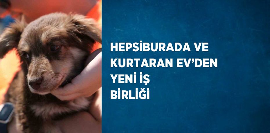 HEPSİBURADA VE KURTARAN EV’DEN YENİ İŞ BİRLİĞİ