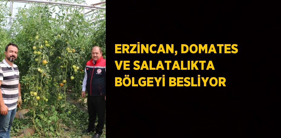 ERZİNCAN, DOMATES VE SALATALIKTA BÖLGEYİ BESLİYOR