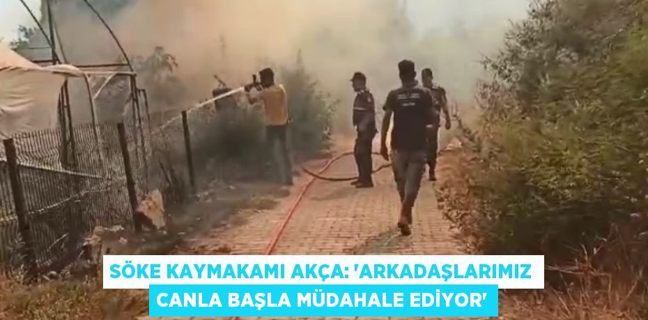 SÖKE KAYMAKAMI AKÇA: 'ARKADAŞLARIMIZ CANLA BAŞLA MÜDAHALE EDİYOR'