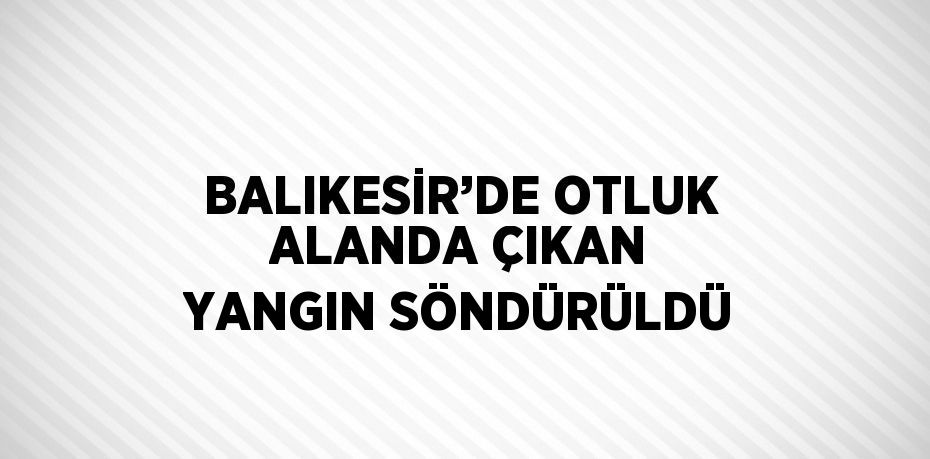 BALIKESİR’DE OTLUK ALANDA ÇIKAN YANGIN SÖNDÜRÜLDÜ