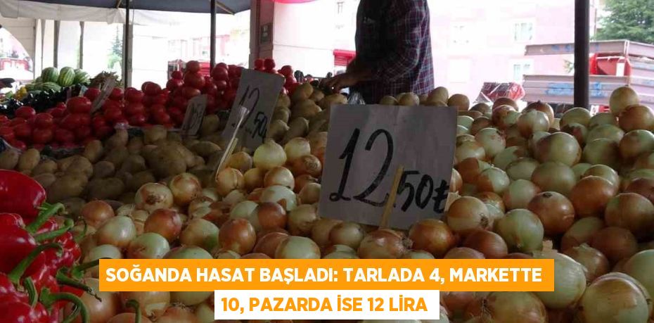 SOĞANDA HASAT BAŞLADI: TARLADA 4, MARKETTE 10, PAZARDA İSE 12 LİRA