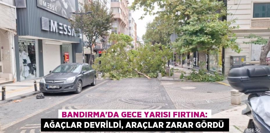 Bandırma'da gece yarısı fırtına: Ağaçlar devrildi, araçlar zarar gördü