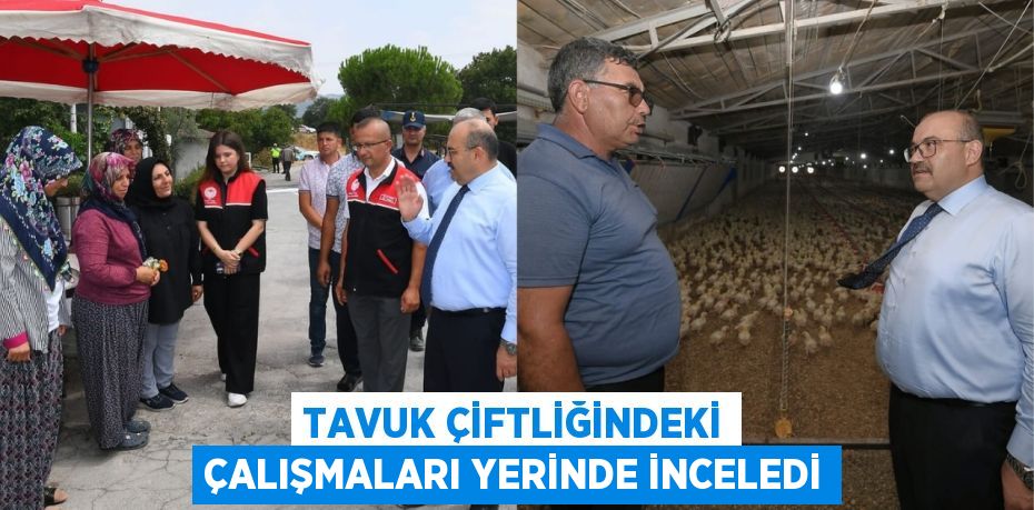 Tavuk çiftliğindeki çalışmaları yerinde inceledi