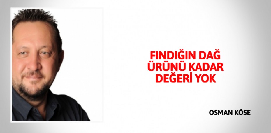 FINDIĞIN DAĞ ÜRÜNÜ KADAR DEĞERİ YOK