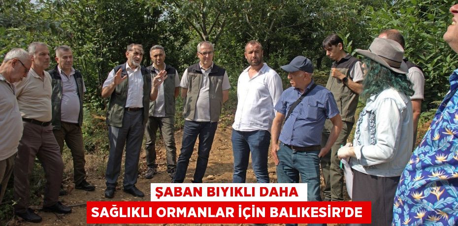 ŞABAN BIYIKLI DAHA SAĞLIKLI ORMANLAR İÇİN BALIKESİR’DE