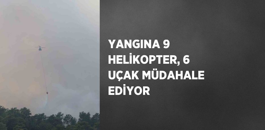 YANGINA 9 HELİKOPTER, 6 UÇAK MÜDAHALE EDİYOR