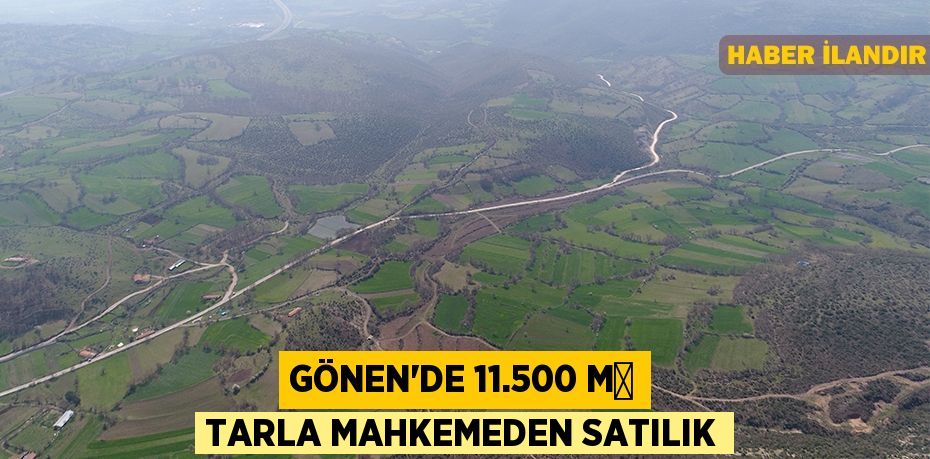 Gönen'de 11.500 m² tarla mahkemeden satılık