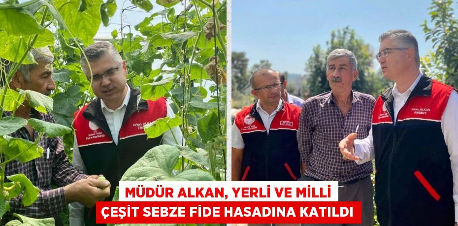 MÜDÜR ALKAN, YERLİ VE MİLLİ ÇEŞİT SEBZE FİDE HASADINA KATILDI