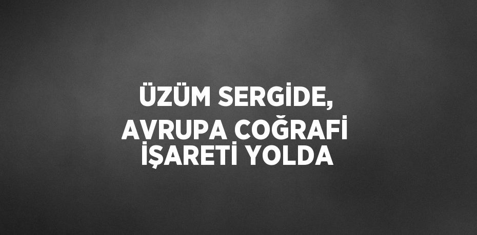 ÜZÜM SERGİDE, AVRUPA COĞRAFİ İŞARETİ YOLDA