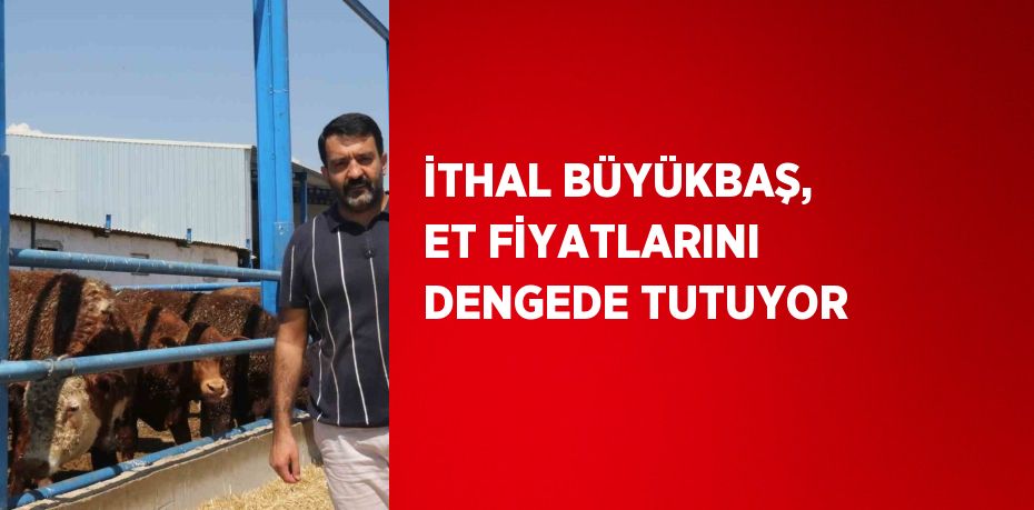 İTHAL BÜYÜKBAŞ, ET FİYATLARINI DENGEDE TUTUYOR