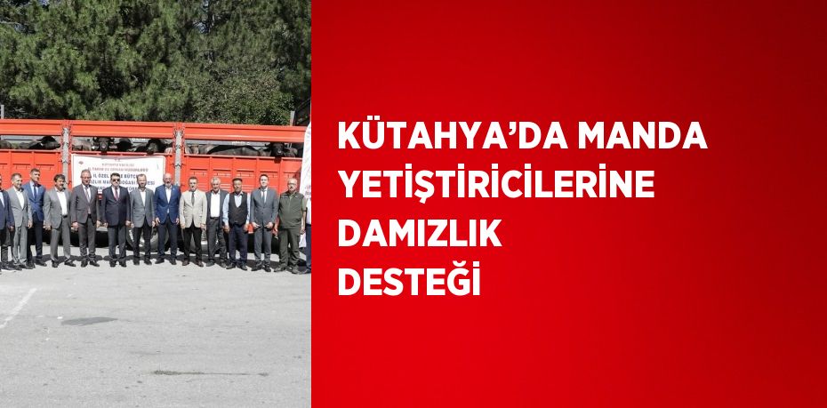 KÜTAHYA’DA MANDA YETİŞTİRİCİLERİNE DAMIZLIK DESTEĞİ