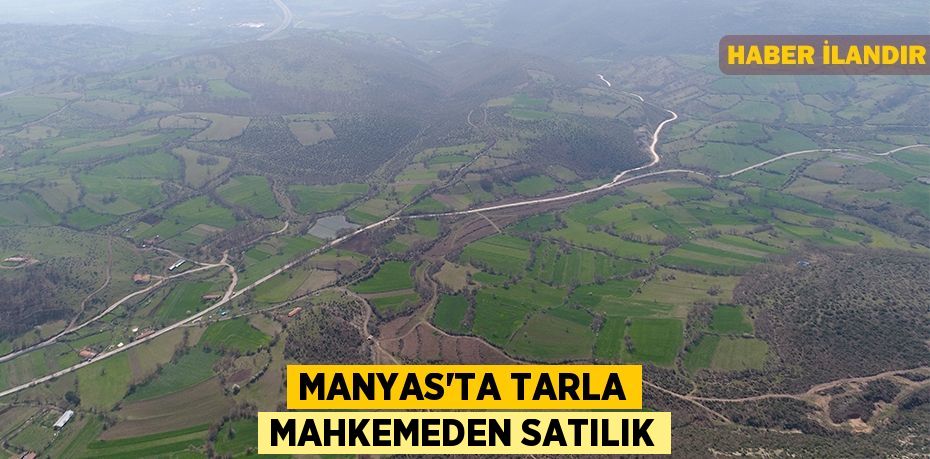 Manyas'ta tarla mahkemeden satılık