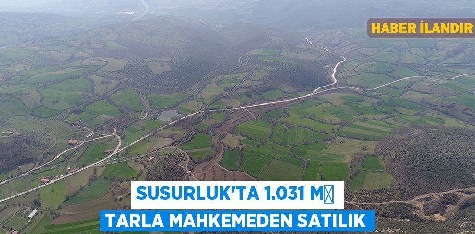 Susurluk'ta 1.031 m² tarla mahkemeden satılık