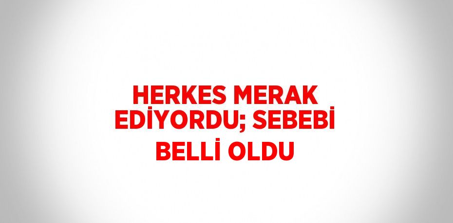 HERKES MERAK EDİYORDU; SEBEBİ BELLİ OLDU