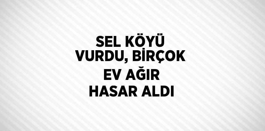 SEL KÖYÜ VURDU, BİRÇOK EV AĞIR HASAR ALDI