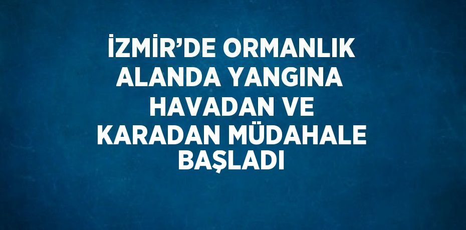 İZMİR’DE ORMANLIK ALANDA YANGINA HAVADAN VE KARADAN MÜDAHALE BAŞLADI