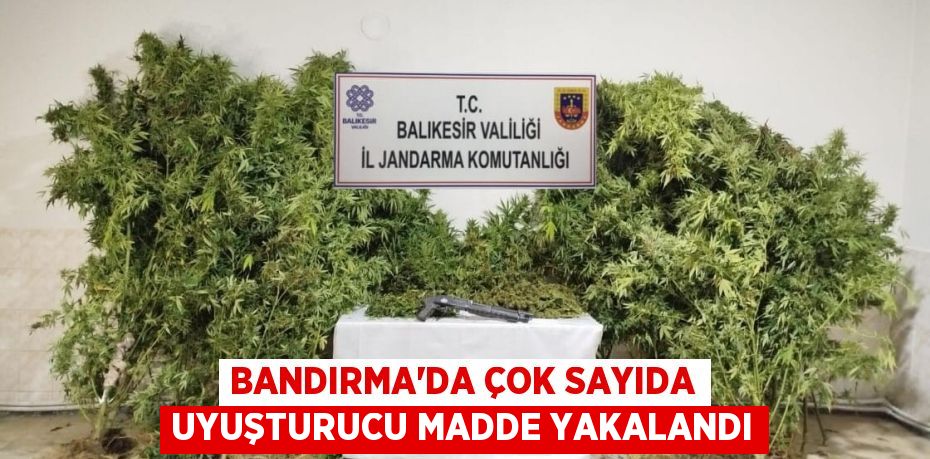 BANDIRMA’DA ÇOK SAYIDA UYUŞTURUCU MADDE YAKALANDI