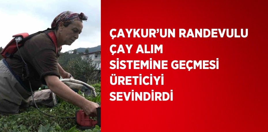 ÇAYKUR’UN RANDEVULU ÇAY ALIM SİSTEMİNE GEÇMESİ ÜRETİCİYİ SEVİNDİRDİ